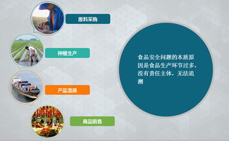 溯源系統(tǒng)在食品質(zhì)量保障與購物系統(tǒng)中的關(guān)鍵作用